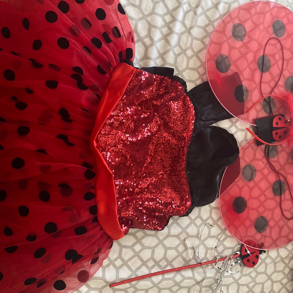 Ladybug dress
